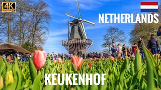 Keukenhof flower Garden tour 2023, Netherland (4K)