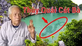 THỦY QUÁI KHỔNG LỒ BIỂN CÁT BÀ - CHUYẾN ĐI CÂU ĐỊNH MỆNH 1982