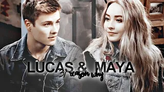 31 REAL Reasons To Ship Lucaya | (not for r/l shipper).