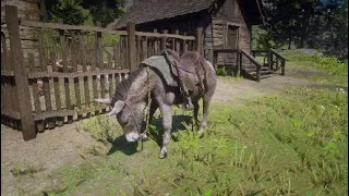 RDR2 Where To Find The Donkey And How To Save It Red Dead Redemption 2