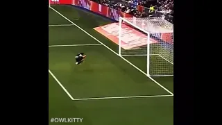 Black Cat Runs On Field And SCORES A GOAL!