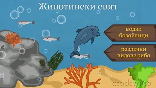 Животът в Черно море - Човекът и природата 4 клас | academico