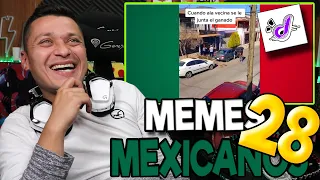 Reaccionando a DED "MEMES MEXICANOS 28"