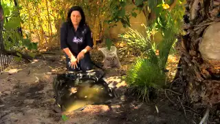 The Garden Gurus - Build a frogpond for under $100