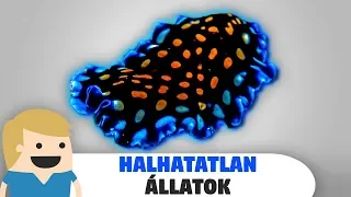 Halhatatlan állatok a bolygónkon!