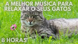 #123🐱8 HORAS🐱 A Melhor Música para Relaxar o seus Gatos 🐱