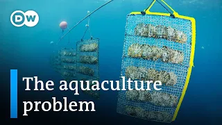 Can we farm the ocean without destroying it?