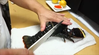 EXTREMELY GRAPHIC: Live Maine Lobster For Sashimi Part 1 - How To Make Sushi Series