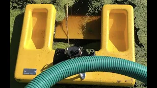 This Duckweed Skimmer Changes Everything!