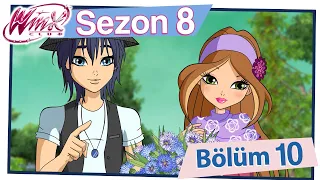 Winx Club - Sezon 8 Bölüm 10 - Hi̇dra’nin Gücü [TAM BÖLÜM]