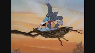 Tom and jerry 017