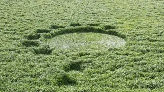 New Crop Circle 2019 Hoeven NL