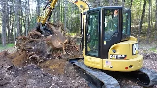 Cat 305.5e2 Removing Stumps