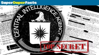 Operation Ivy Bells | Secret Cold War CIA Operation *Conspiracy*