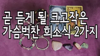 [타로카드] 곧 듣게 될 2가지 반갑고 기쁜소식!