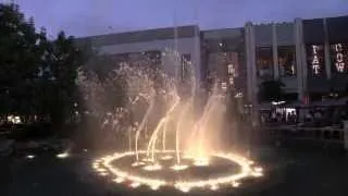 The Grove Fountain Show - "This Could Be The Start Of Something Big" (2013)