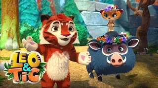 Leo and Tig 🦁 Spring Season 🦊 Watch the next episode 🐯 Funny Family Good Animated Cartoon for Kids