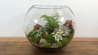 Making glass terrarium in the easiest way.