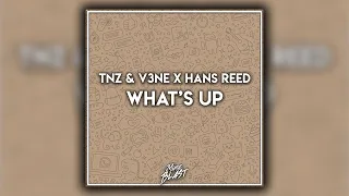 Future Bounce | TNZ & V3NE X HANS REED - What's Up [Release]