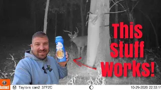 The best homemade deer attractant made! I’m trying a new flavor!