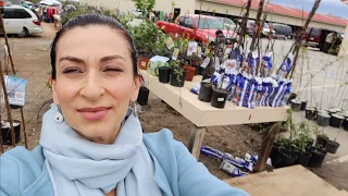 Shopping for Trees from Barnyard Flea Market | Heghineh Family Vlogs