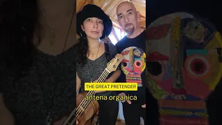 THE GREAT PRETENDER COVER BY ANTENA ORGÁNICA / live version