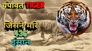 चम्पावत TIGER | Champawat Tiger Who Killed 436 People | Jim Corbett And Champawat Tiger | Man-Eater