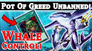 Competitive Whale Control With Pot of Greed! Time Travel 2004 Yugioh Masterduel Gameplay Decklist