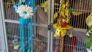 My 2 new sugar gliders toy making theme. 1 blue theme and 1 brown yellow theme