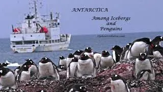 Antarctica - Among Icebergs & Penguins (part 1)