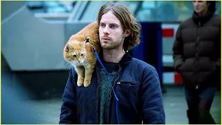 Homeless Man's Life Is Changed After Finding a Stray Cat