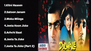 Dilwale Movie All Songs 1994 | Audio Jukebox | Ajay Raveena & Sunil Shetti | Kumar Alka & Udith |