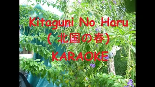 北国の春 (Kitaguni No Haru) - カラオケバージョン (Karaoke Version)