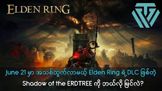 အသစ်ထွက်လာမယ့် Elden Ring DLC Expansion အပေါ် ဘယ်လိုမြင်ကြလဲ?