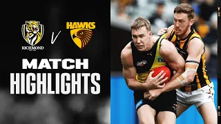 Richmond v Hawthorn Highlights | Round 22, 2022 | AFL