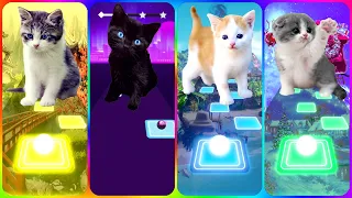 CUTE CATS - SHAKIRA WAKA WAKA - BTS DYNAMITE - LUIS FONSI DESPACIDO - LISA MONEY TILES HOP EDM RUSH!