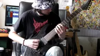 Decapitated  - Instinct cover (with solo)