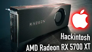 AMD RADEON RX 5700 XT 8GB REFERENCE | HACKINTOSH - ALEXEY BORONENKOV | 4K