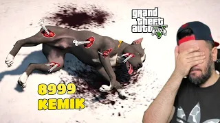 KASLI PITBULL KÖPEGIN TÜM KEMIKLERINI KIRDIM - GTA 5 MODS