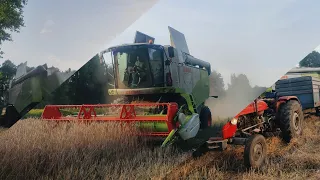 🔥Żniwa 2k23🔥                                             🌾CLAAS TUCANO 420🌾.