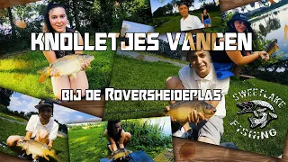 Knolletjes vangen op de Roversheideplas