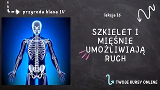 Przyroda klasa 4 [Lekcja 16 - Szkielet i mięśnie umożliwiają ruch]