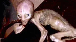 15 Alien Looking Things That Exist In Real Life