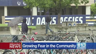 Stabbings lead to growing fear in Davis