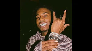 Playboi Carti - Ice - Prod By HalfnHalf (Remix)