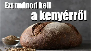 🥖 Kenyér - amit eddig nem tudtál róla