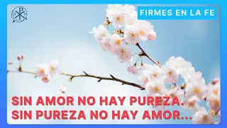 La Pureza | Firmes en la fe - P Gabriel Zapata