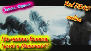 Энтони Форман RDR 2 online, ГУСЬ, Молочай, Волк RDO