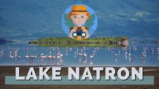 Lake Natron | Tanzania |  Travel Guide 🚁