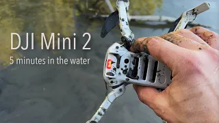 My DJI Mini 2 crashed to the water - will it work?